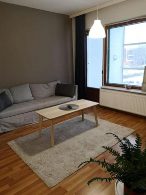 Kotimaailma - Kotoisa saunallinen kolmio Tikkurilan palveluiden äärellä, Vantaa